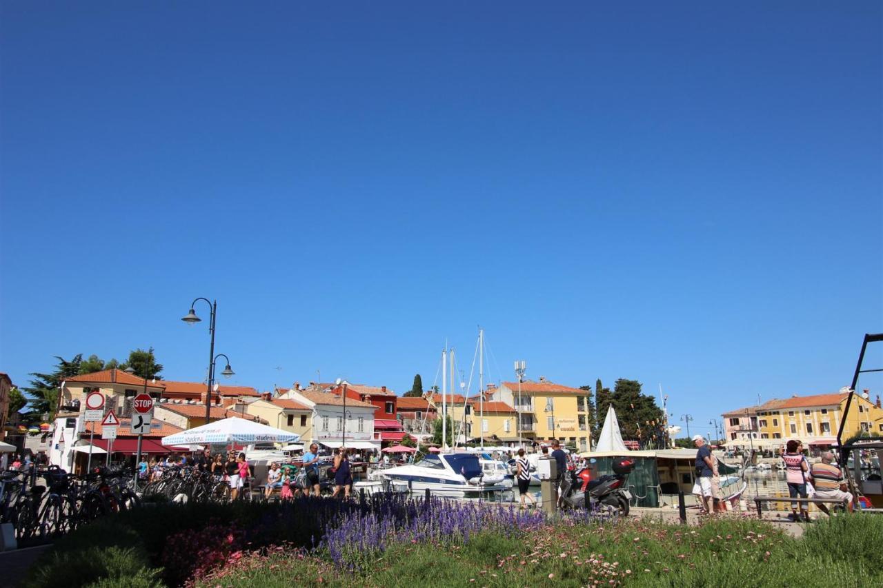 Ferienwohnung Gianna A4+2 Novigrad Istria Exterior foto